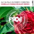 Aly & Fila vs Ferry Corsten