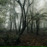 Fabricantes De Lluvia, Dormir, Dormir e Meditar