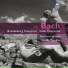 Bath Festival Chamber Orchestra, Yehudi Menuhin
