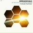 Markus Schulz featuring Brooke Tomlinson