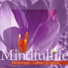 Mindfullife