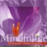 Mindfullife
