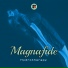 Magnafide