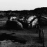 Amenra