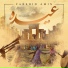 Farshid Amin