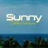 Hawaiian Music, Wonderful Chillout Music Ensemble