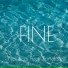 Zondalee feat. Nautica