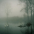 Relaxing Music Therapy, Rainfall, Sleep Baby Sleep