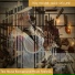 Tea House Jazz Deluxe