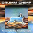 Drumm Chimp