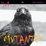 Os Mutantes 2009 Haih Or Amortecedor