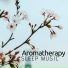 Aromatherapy Music Fragrance
