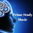 Prime Study Music & Spa Music Relaxation Therapy