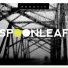 Spoonleaf