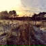 Ane Brun