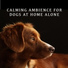 Calming Dog Chillout