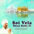 Bhai Harbans Singh Ji Jagadhari Wale