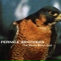 Pernice Brothers