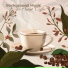 Soothing Jazz Academy, Positive Music Universe