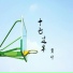 贾叶