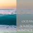 Ocean Sounds