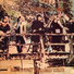 Steeleye Span