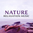 Relaxing Nature Sounds Collection