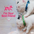 I'm Your Best Friend