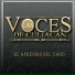 Las Voces de Culiacan