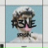 R3Ne