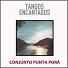 Conjunto Punta Porá