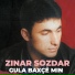 Zinar Sozdar