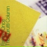 The Durutti Column