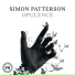 Simon Patterson