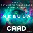 Futuristic Polar Bears x Reggio x LoveLetters