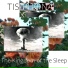 TISIPHONA