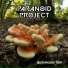 Paranoid Project