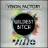 Vision Factory