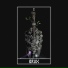 BRUX