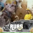 Aldeia Records, JayA Luuck, Greezy