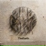 The Earth