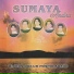 Sumaya Andina