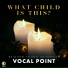 BYU Vocal Point
