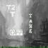 T2T