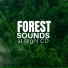 Forest Bathing