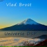 Vlad Brost