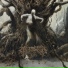 Arsebreed