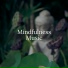 Massage Tribe & Yoga Workout Music
