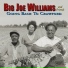 Big Joe Williams