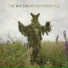 The Waterboys